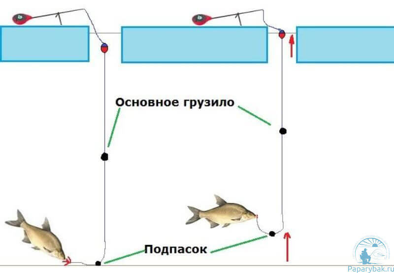 На что ловить сорогу. Смотреть фото На что ловить сорогу. Смотреть картинку На что ловить сорогу. Картинка про На что ловить сорогу. Фото На что ловить сорогу