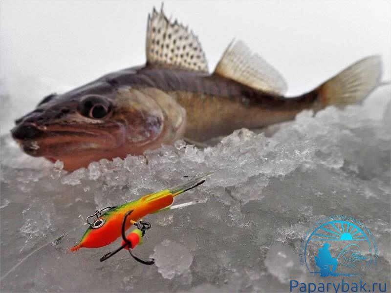 Информация о зимней рыбалке на балансир