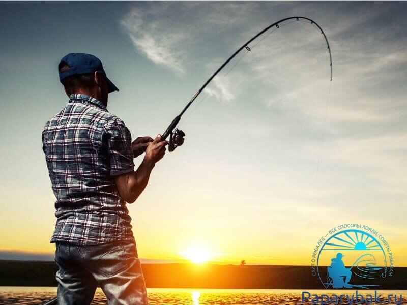 Из чего сделан спиннинг - интересные факты о составе удочки для рыбалки