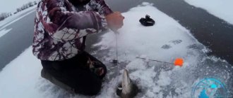 Рыбалка на щуку зимой